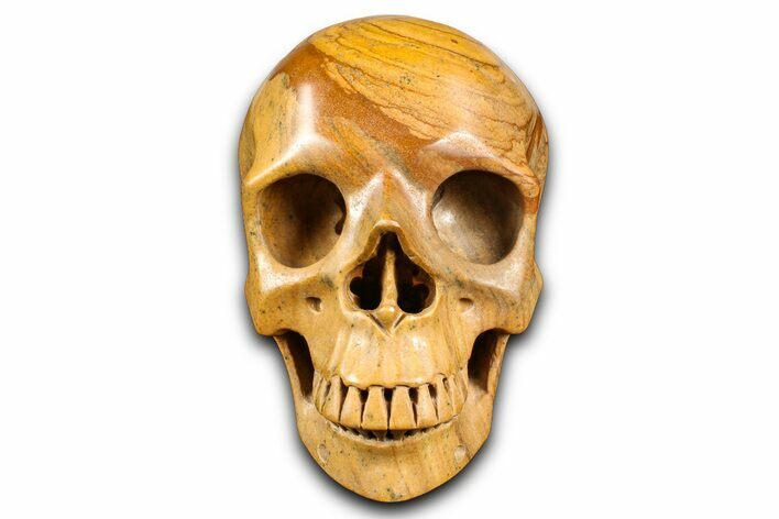 Realistic, Polished Picture Jasper Skull #382158